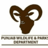 Punjab Wildlife And Parks Department